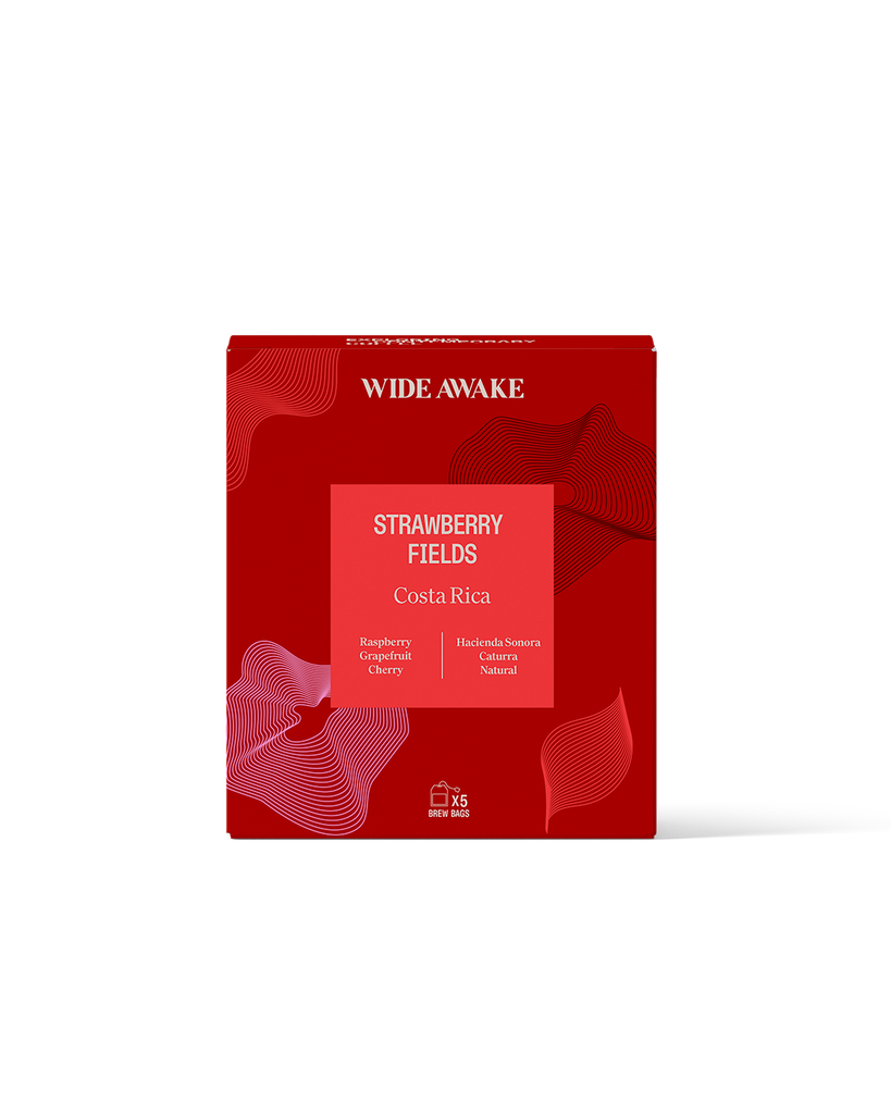 STRAWBERRY FIELDS BREW BAGS