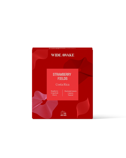[SB_BOX_1007] STRAWBERRY FIELDS BREW BAGS
