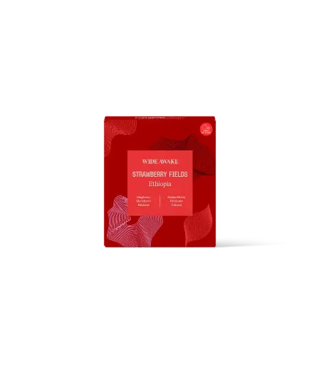 [SB_BOX_1007] STRAWBERRY FIELDS STEEP BAGS